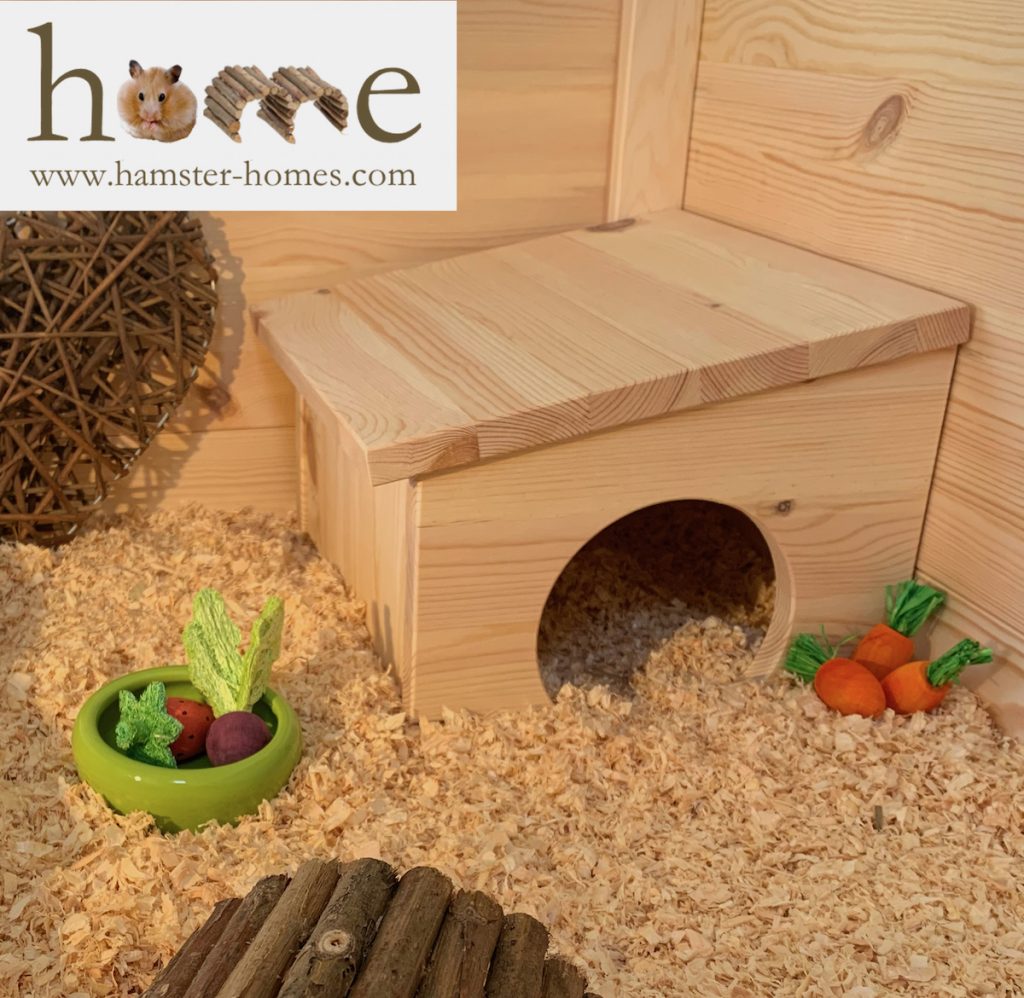 Guinea Pigs - Setting up a Home for your Indoor Guinea Pigs - Quiet Attic For Guinea Pigs Temperature Needed