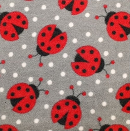 Ladybird