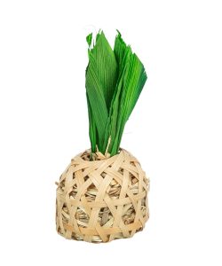 Pineapple Tree - Small Pet Toy or Decoration